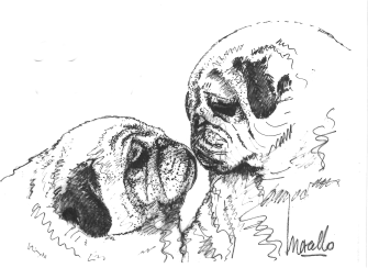 Illustration SOS Carlin